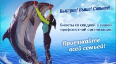 В дельфинарий со скидкой