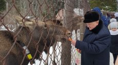 На Рождество в Кострому