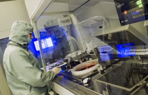 Минобрнауки обяжет студентов отрабатывать три года в оплатившей учебу организации